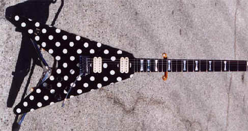polka1.jpg (60807 bytes)